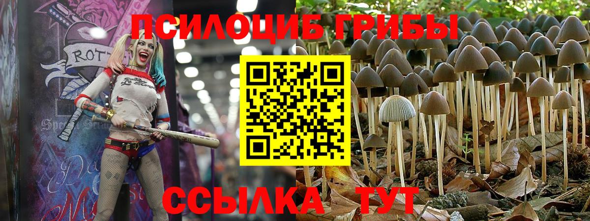 Углич  Галлюциногенные грибы Psilocybe  Вход с VPN 
